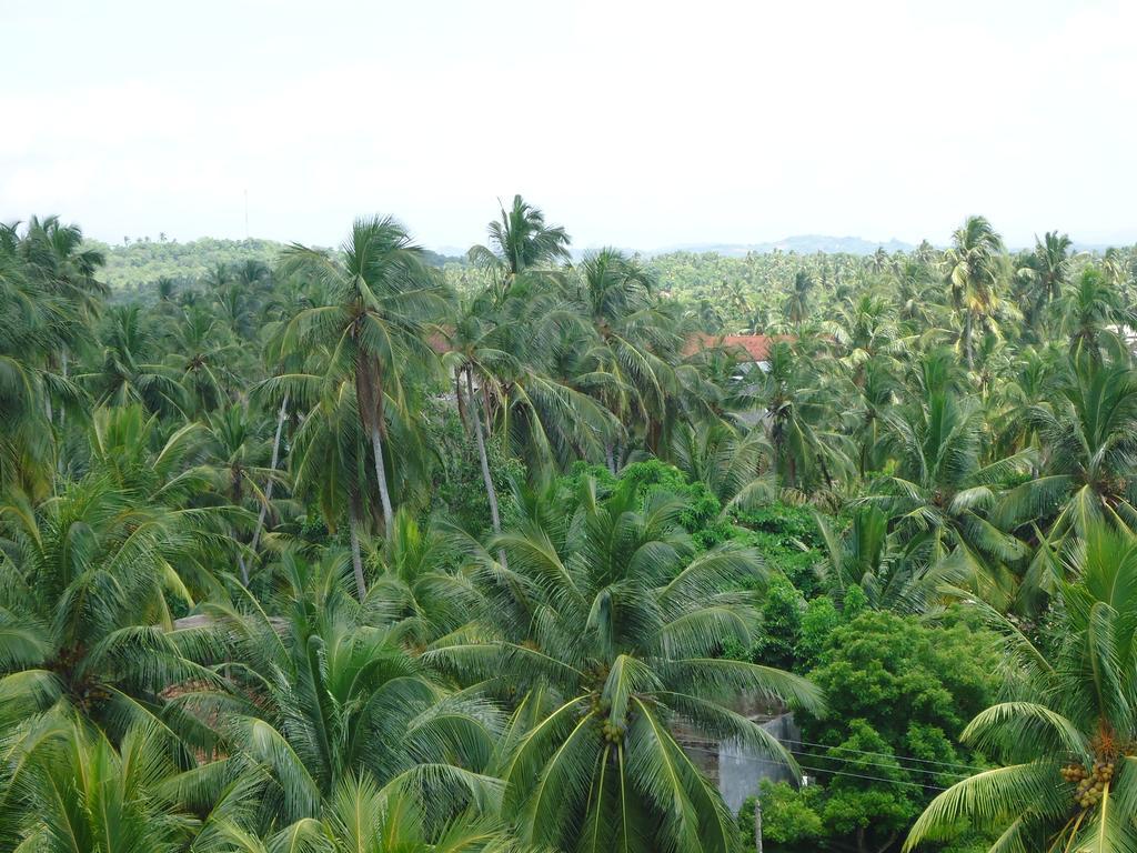 Mars Hotel Tangalle Buitenkant foto