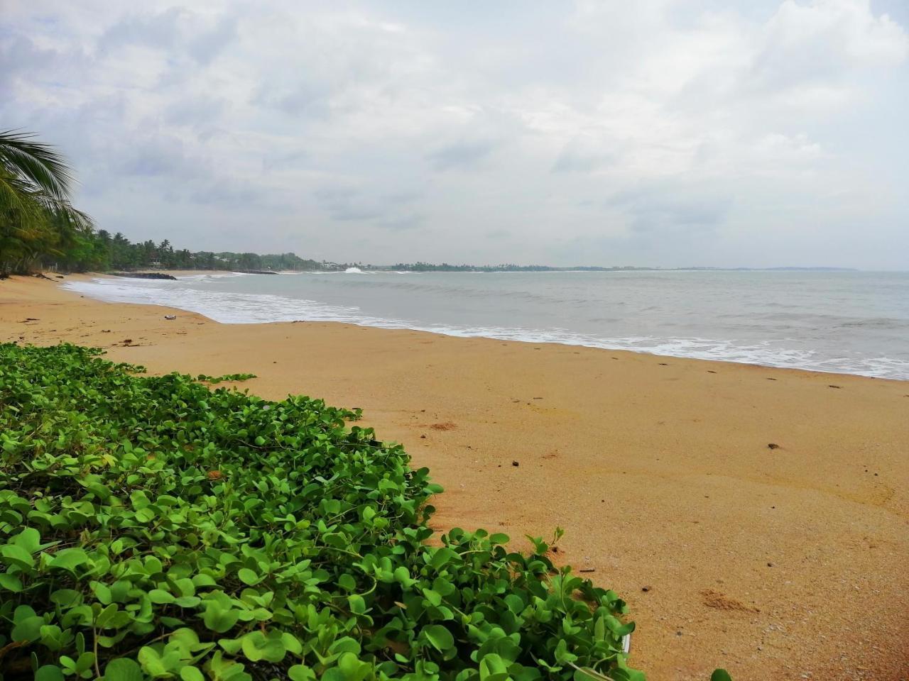 Mars Hotel Tangalle Buitenkant foto