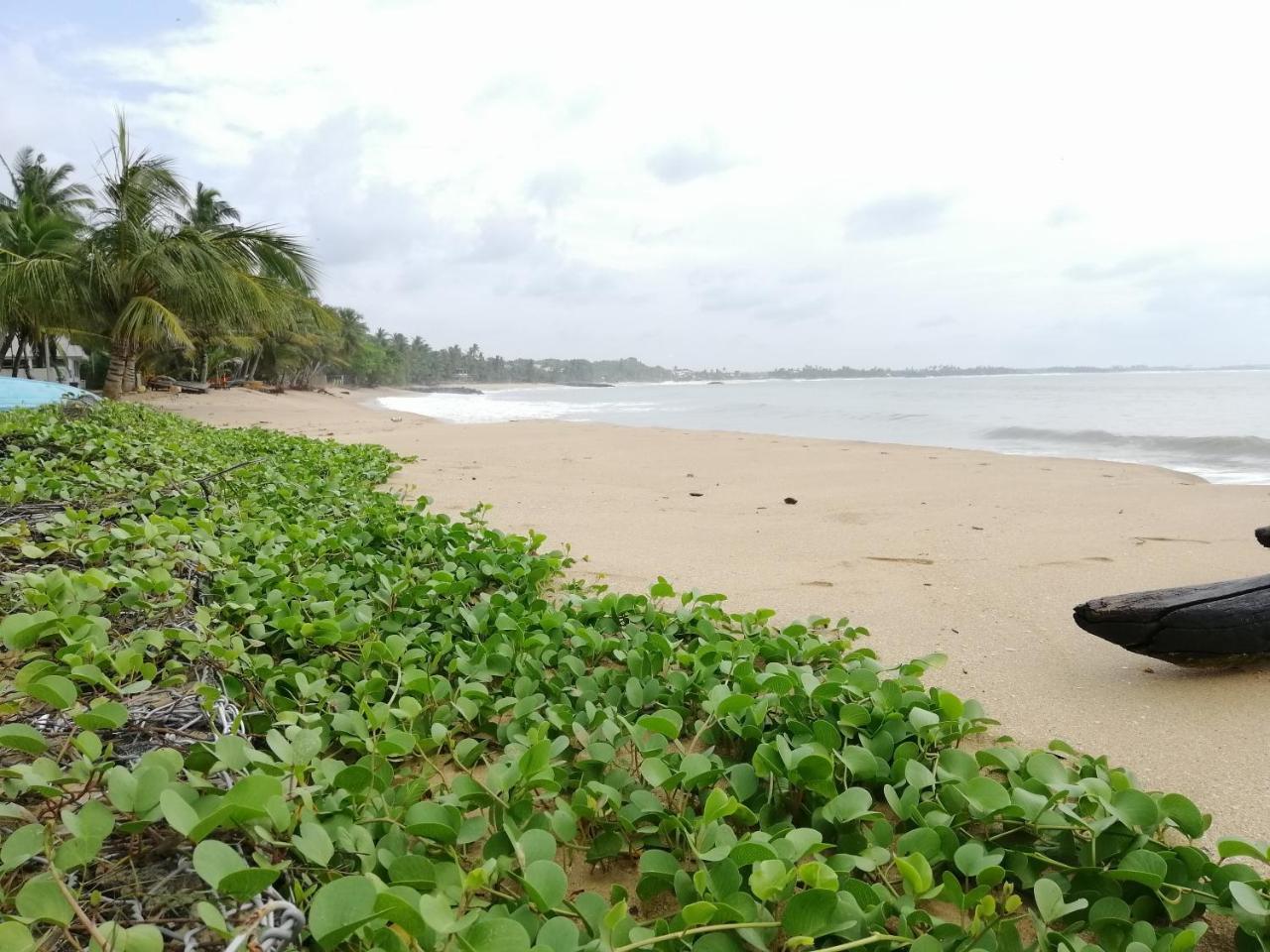 Mars Hotel Tangalle Buitenkant foto
