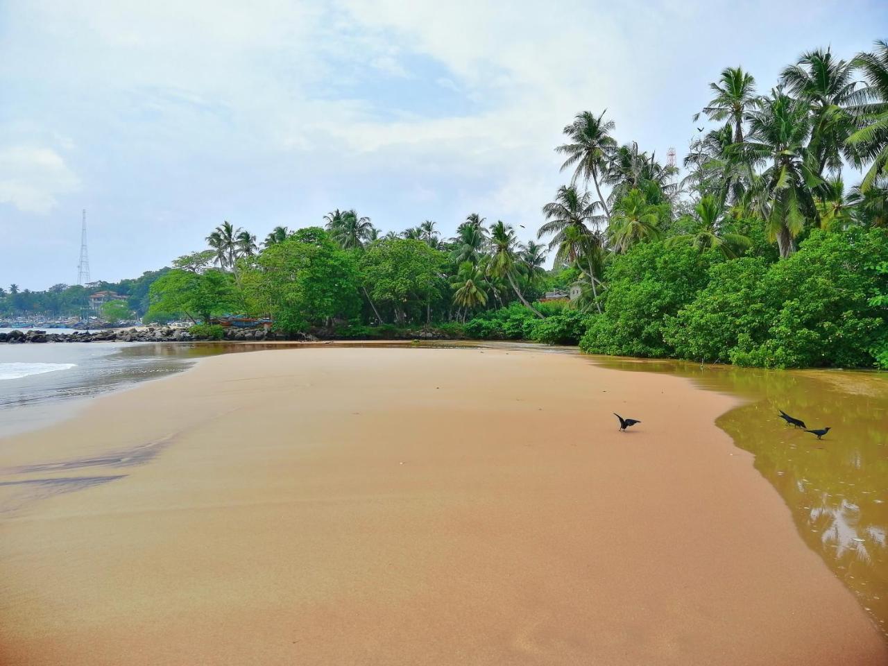 Mars Hotel Tangalle Buitenkant foto
